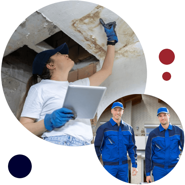 choice fire damage services compressed - It includes assessment, cleaning, soot and smoke removal, odor elimination, repairs, and restoring the property to pre-fire condition.